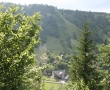 Titlu poza 8